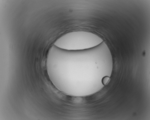 X0000114390230200910161040