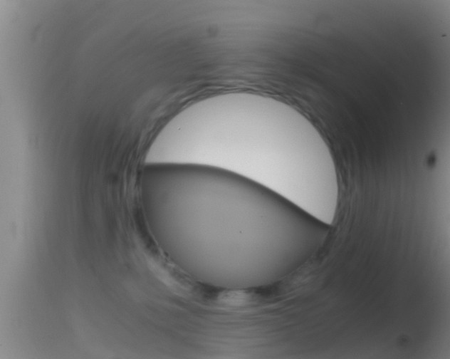 X0000114390231200910161040