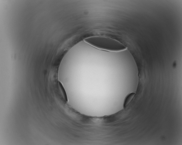 X0000114390233200910161040