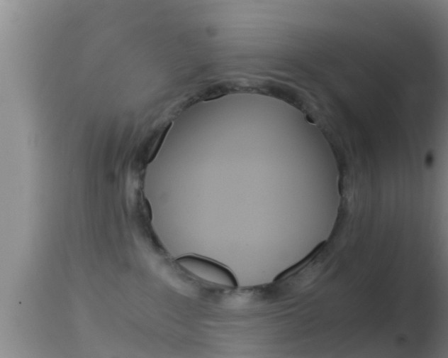 X0000114390235200910161040