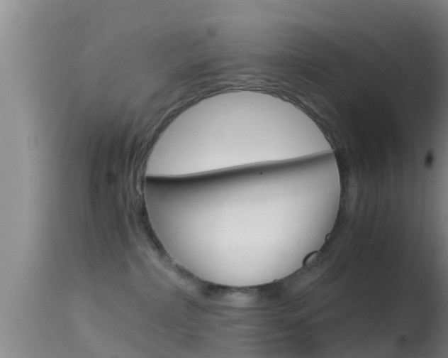 X0000114390236200910161040