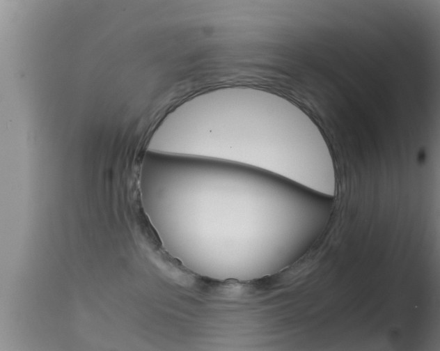 X0000114390237200910161040