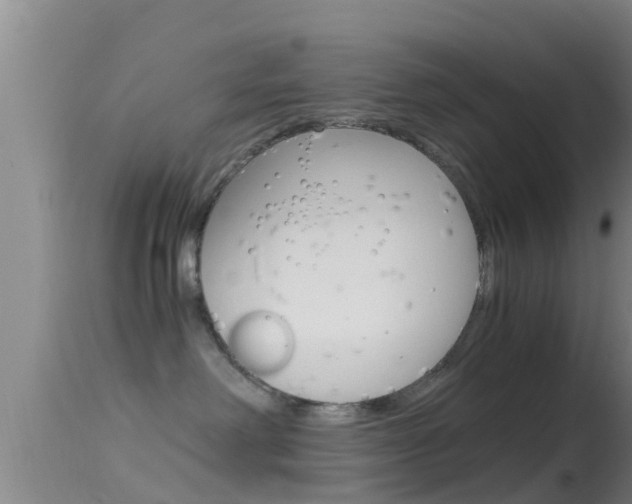 X0000114390238200910161039