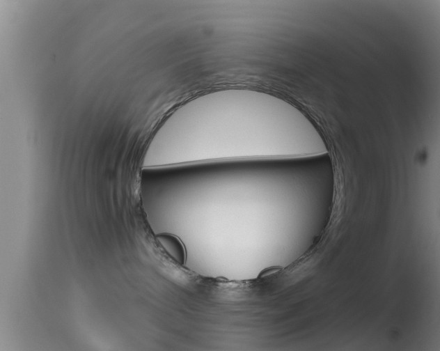 X0000114390240200910161039