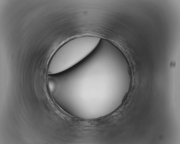 X0000114390241200910161039