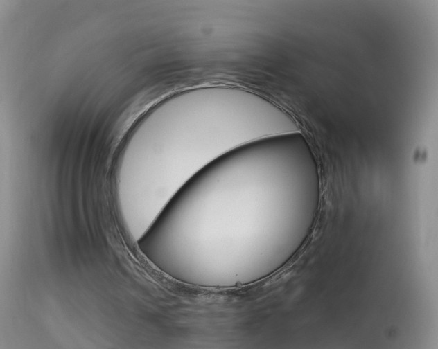 X0000114390242200910161039