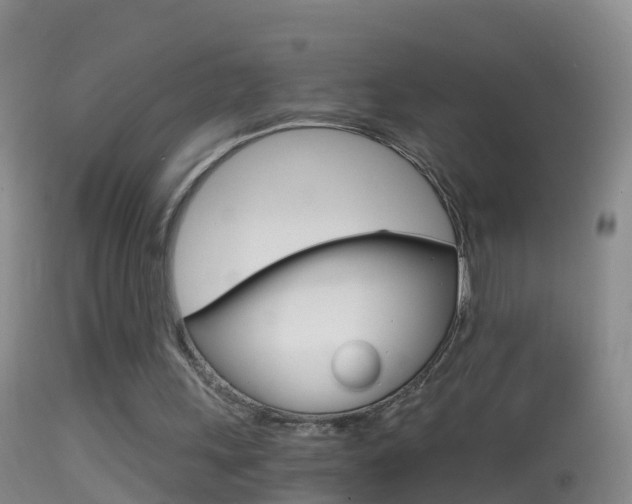 X0000114390243200910161039
