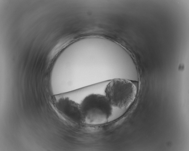 X0000114390245200910161039