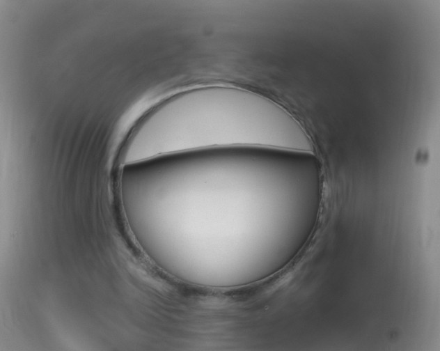 X0000114390246200910161039