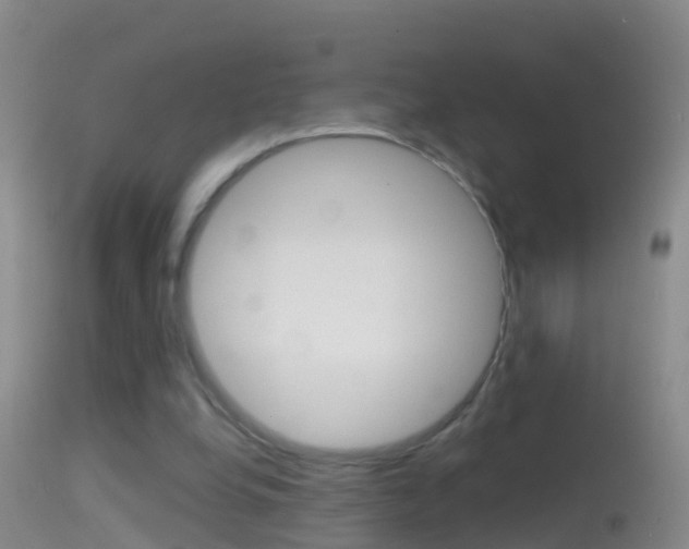 X0000114390248200910161039