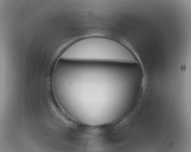 X0000114390249200910161039