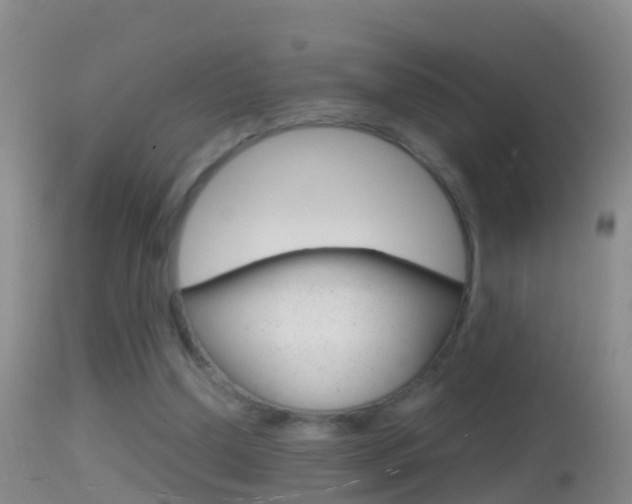 X0000114390250200910161039