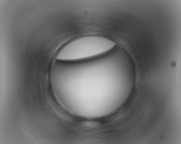 X0000114390251200910161039