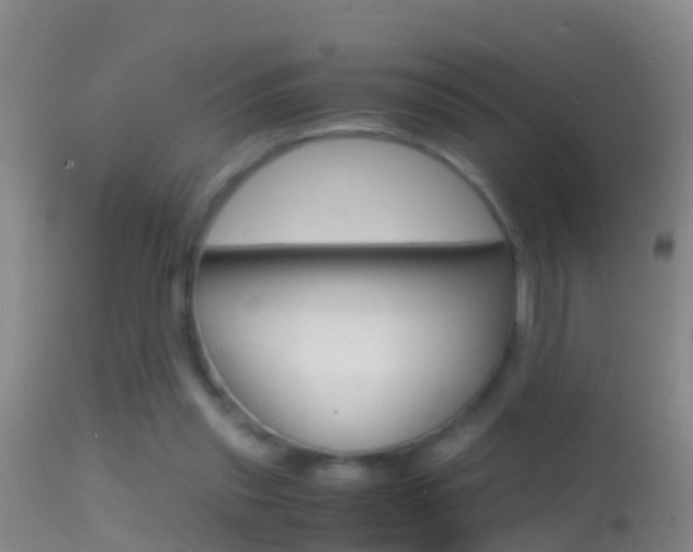 X0000114390253200910161039