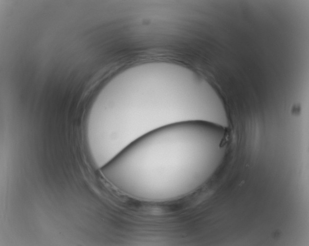 X0000114390254200910161039