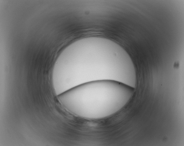 X0000114390255200910161039