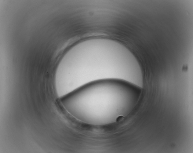 X0000114390256200910161039