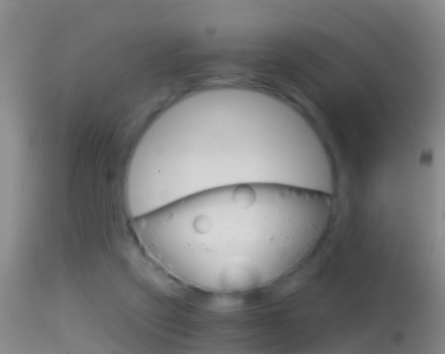 X0000114390257200910161039