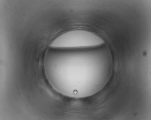 X0000114390259200910161039