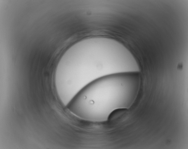 X0000114390260200910161039