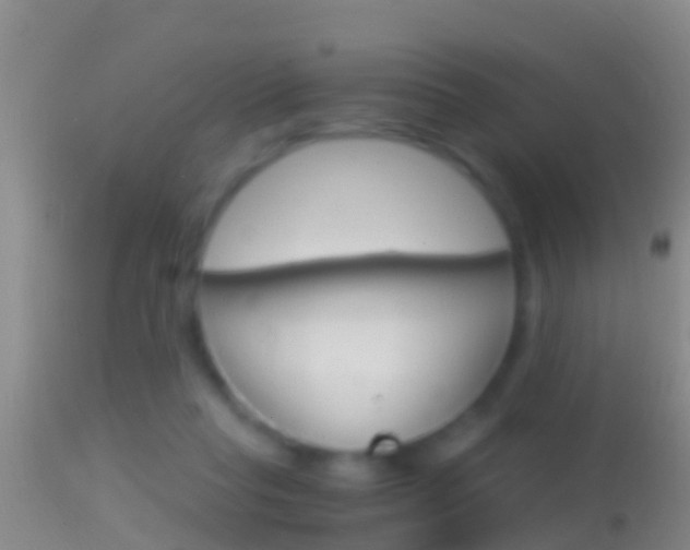 X0000114390261200910161039