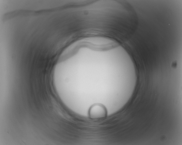 X0000114390264200910161039