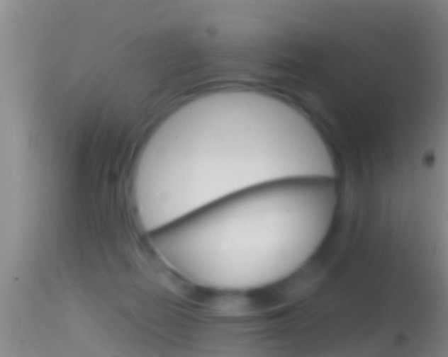 X0000114390266200910161039