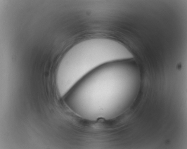 X0000114390268200910161039