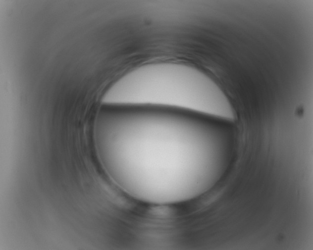 X0000114390269200910161039