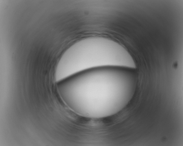 X0000114390270200910161039