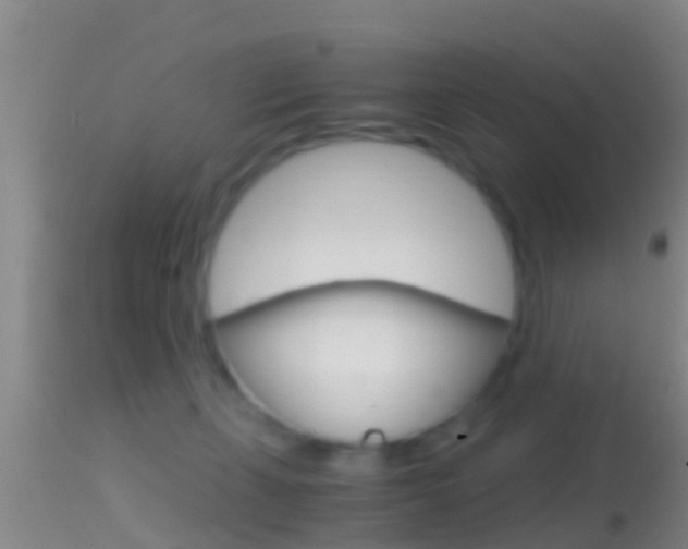 X0000114390271200910161039