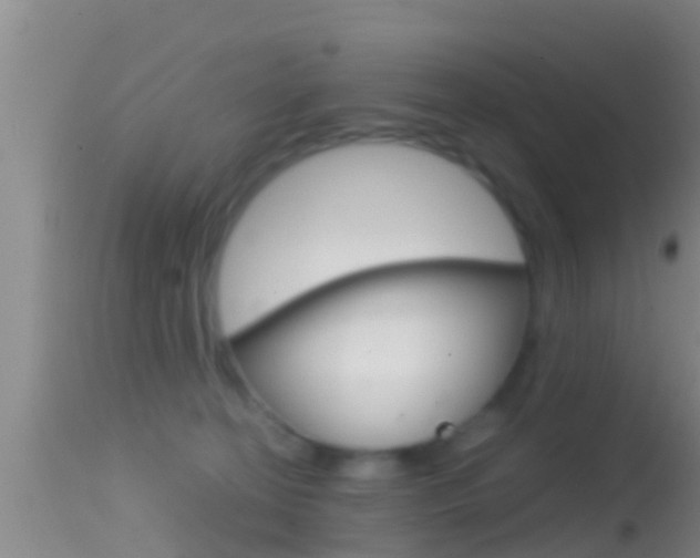 X0000114390274200910161039