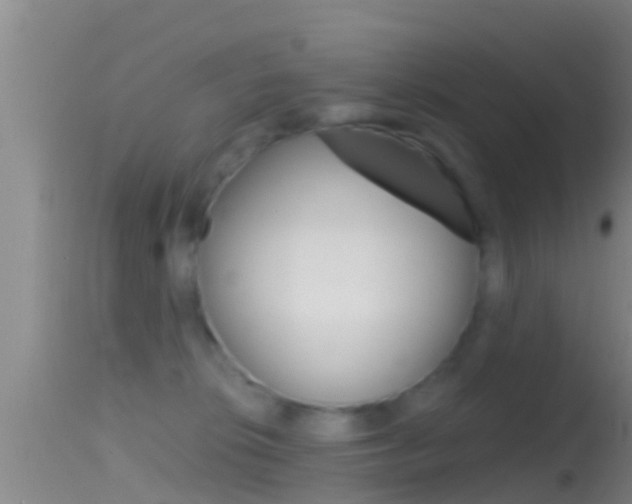 X0000114390276200910161039