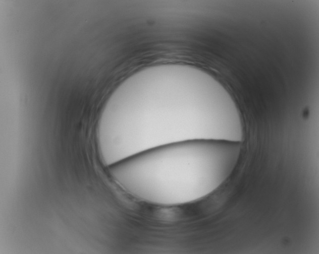 X0000114390277200910161039