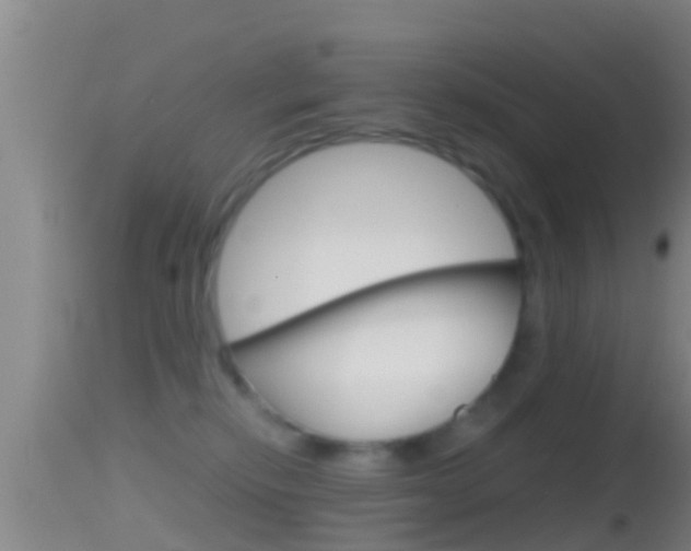 X0000114390278200910161039