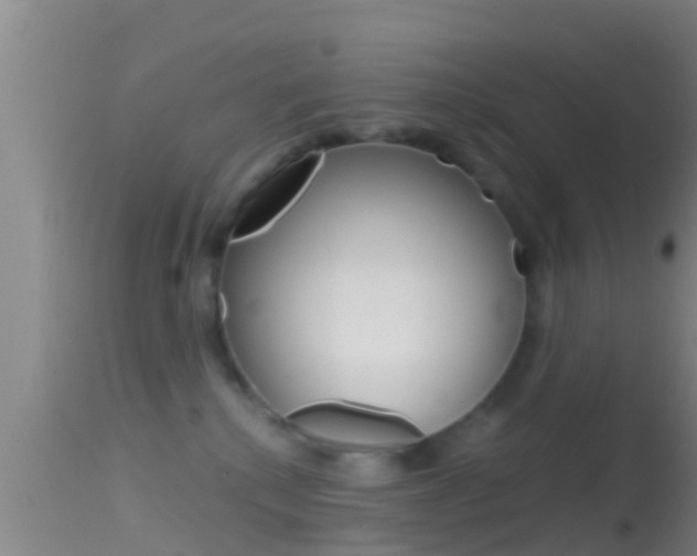X0000114390280200910161039
