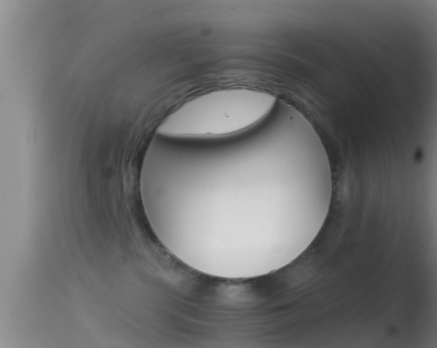 X0000114390283200910161039