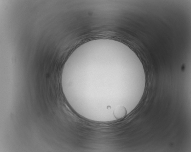 X0000114390284200910161039