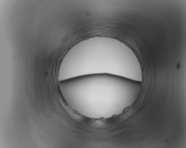 X0000114390285200910161039