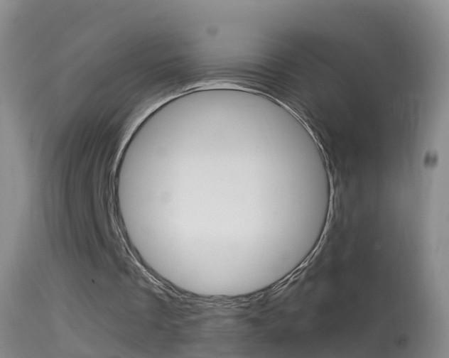 X0000114390289200910161039