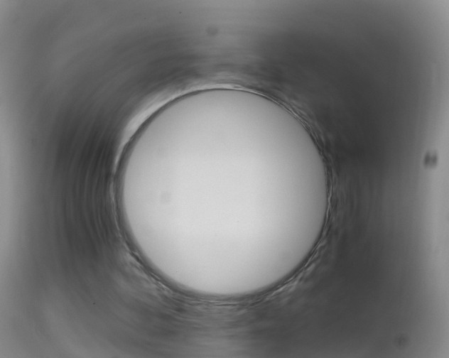 X0000114390292200910161039