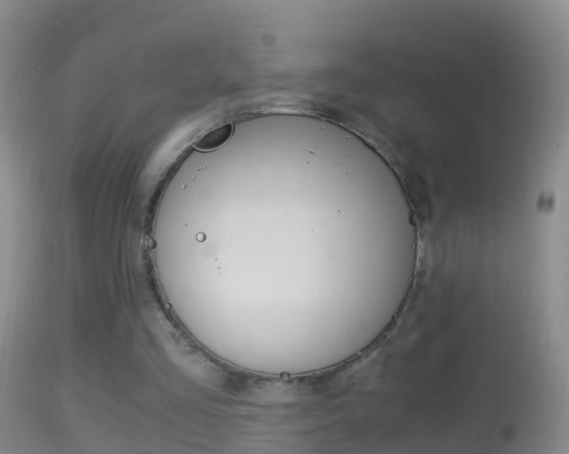 X0000114390293200910161039