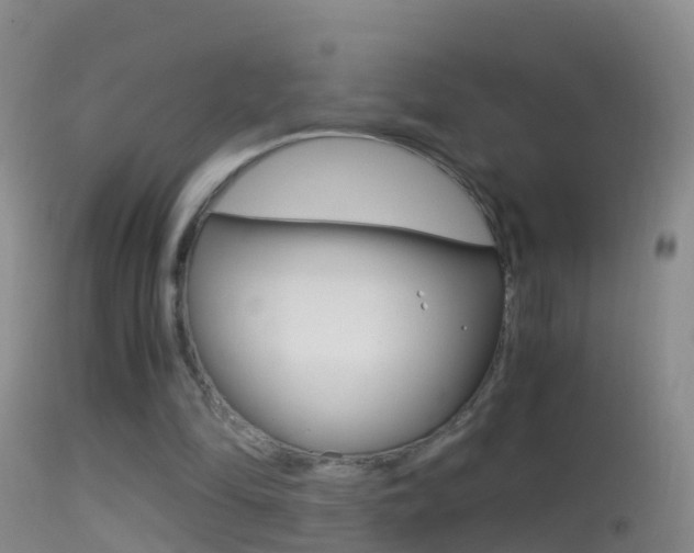 X0000114390294200910161039