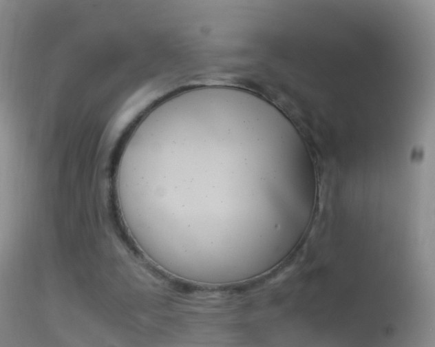 X0000114390295200910161039