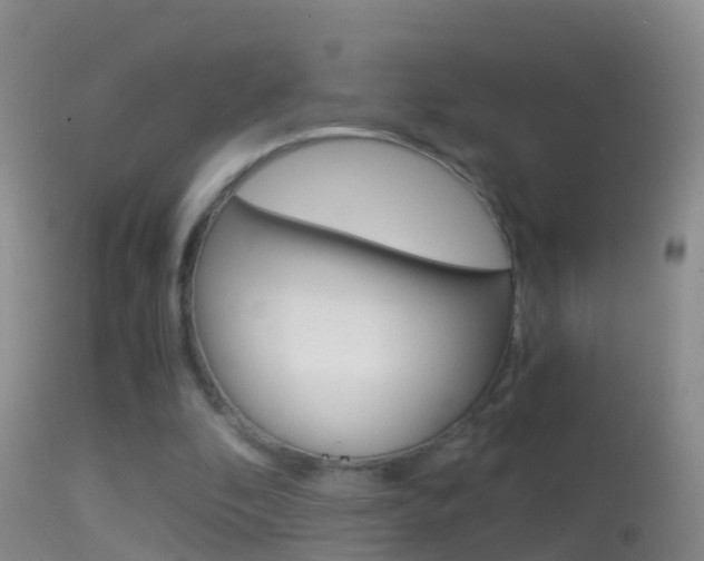 X0000114390296200910161039