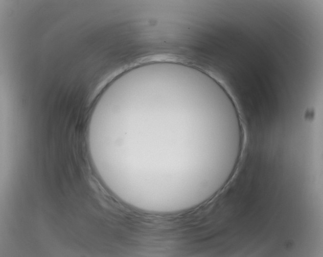 X0000114390297200910161039