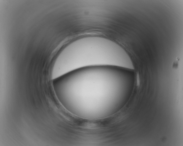 X0000114390300200910161038