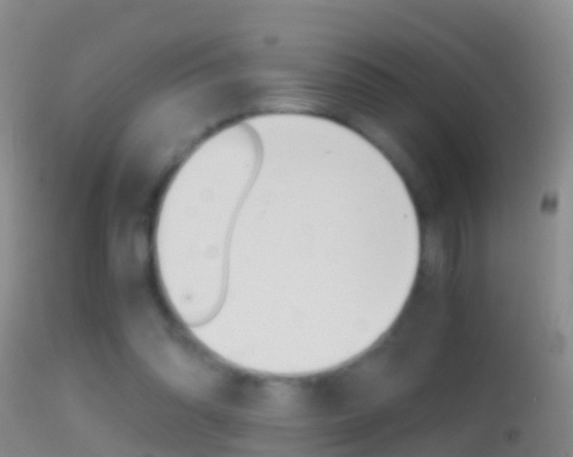 X0000114390302200910161038
