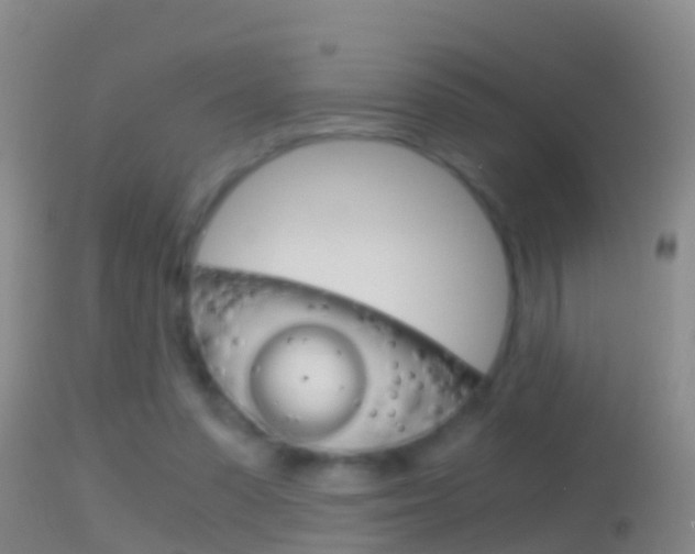 X0000114390303200910161038