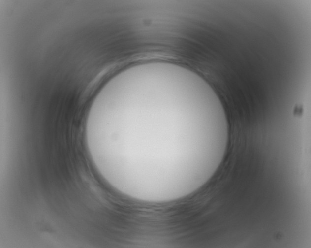 X0000114390304200910161038